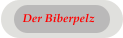 Der Biberpelz