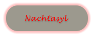 Nachtasyl